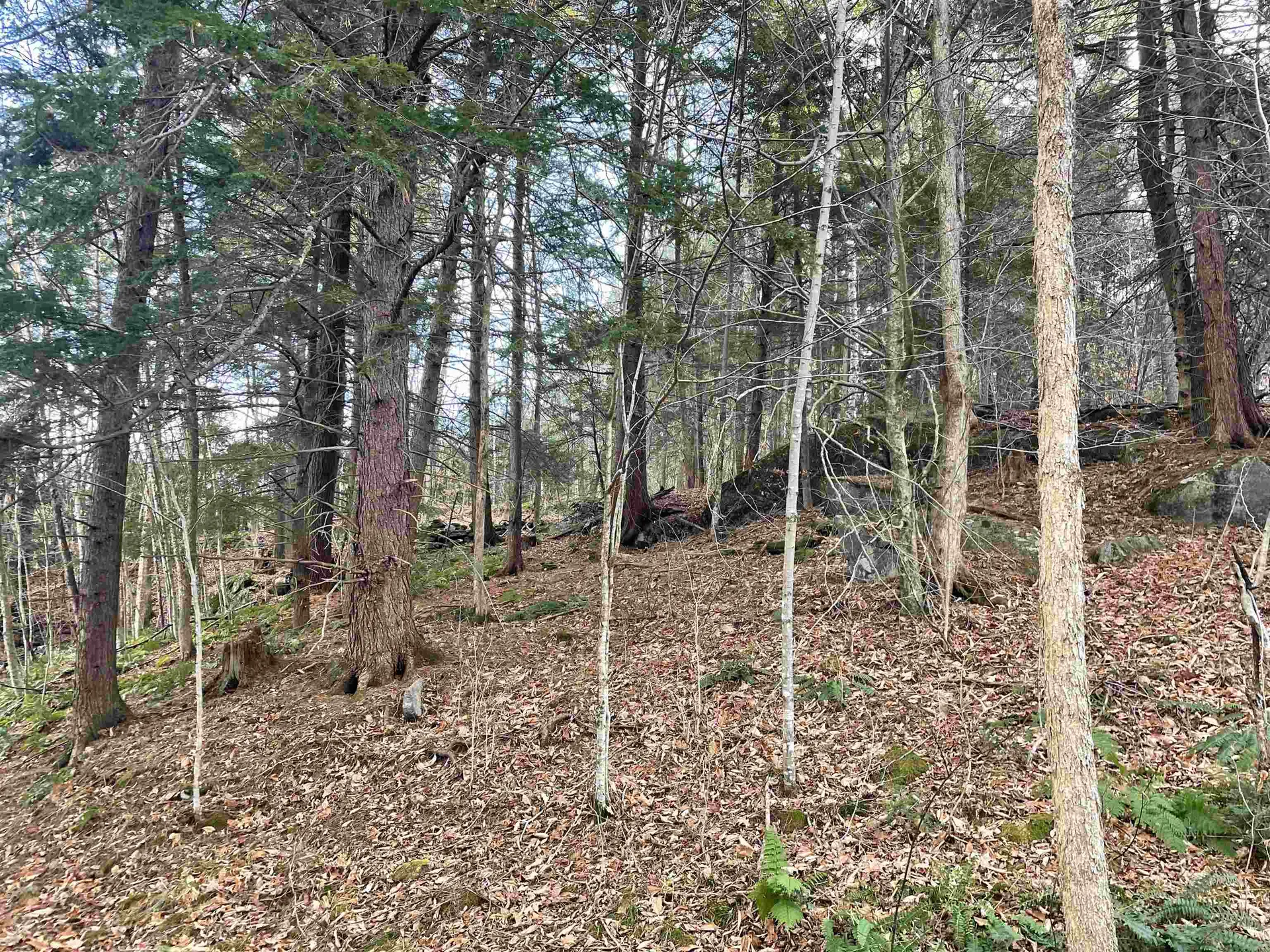 0 Yale Heights Road West Windsor VT 05037