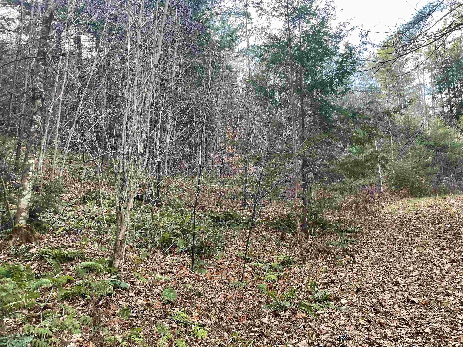 0 Yale Heights Road West Windsor VT 05037