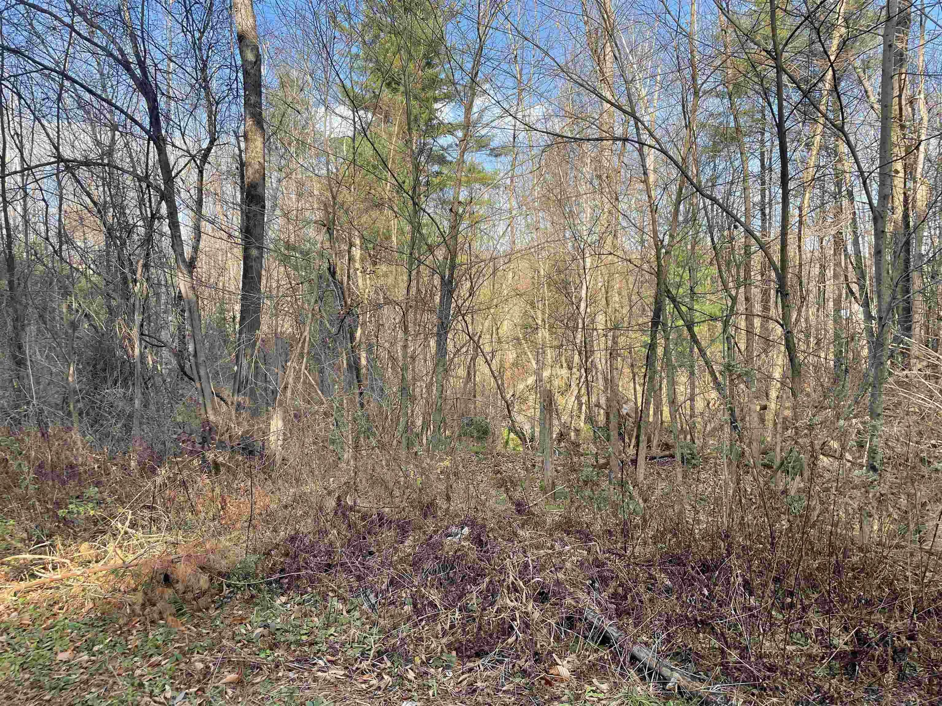 0 Yale Heights Road West Windsor VT 05037