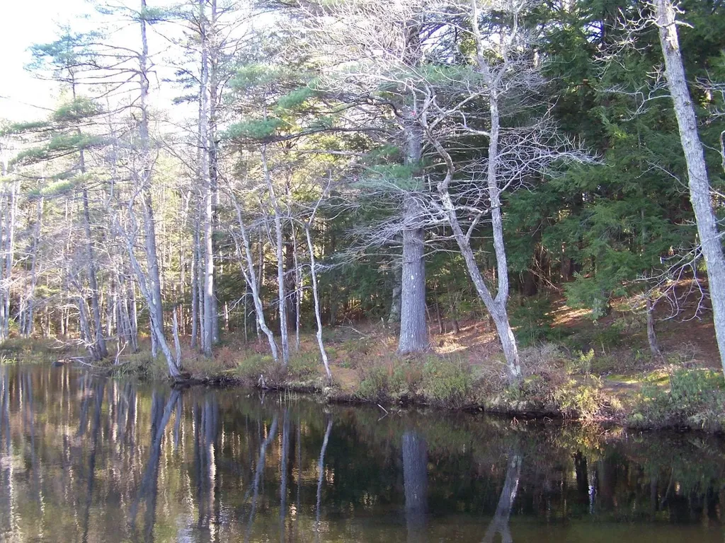 00 Scott Pond Road Fitzwilliam NH 03447