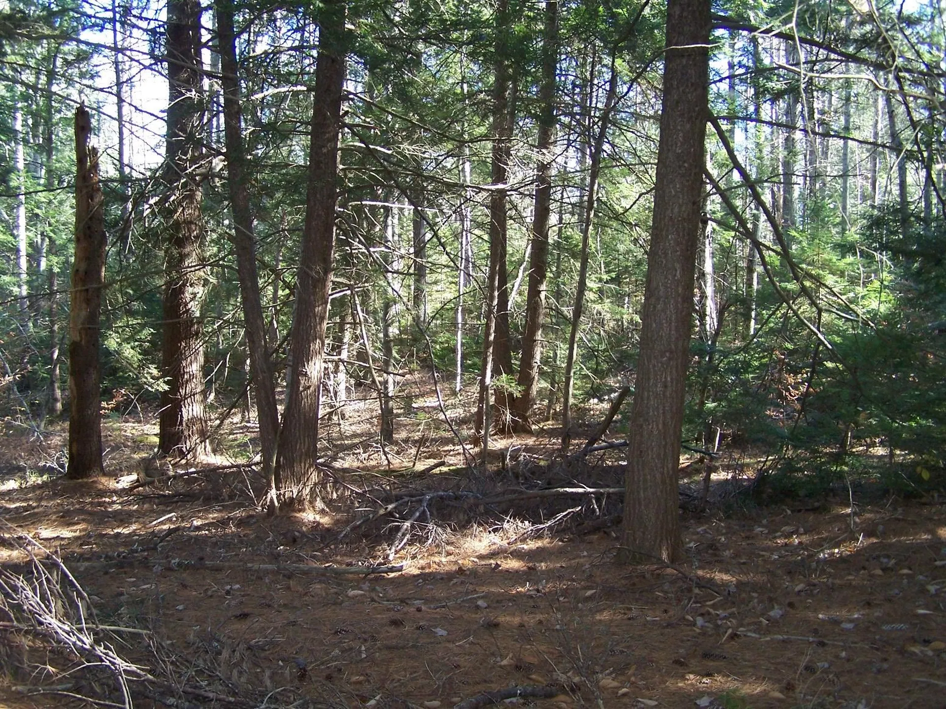 00 Scott Pond Road Fitzwilliam NH 03447