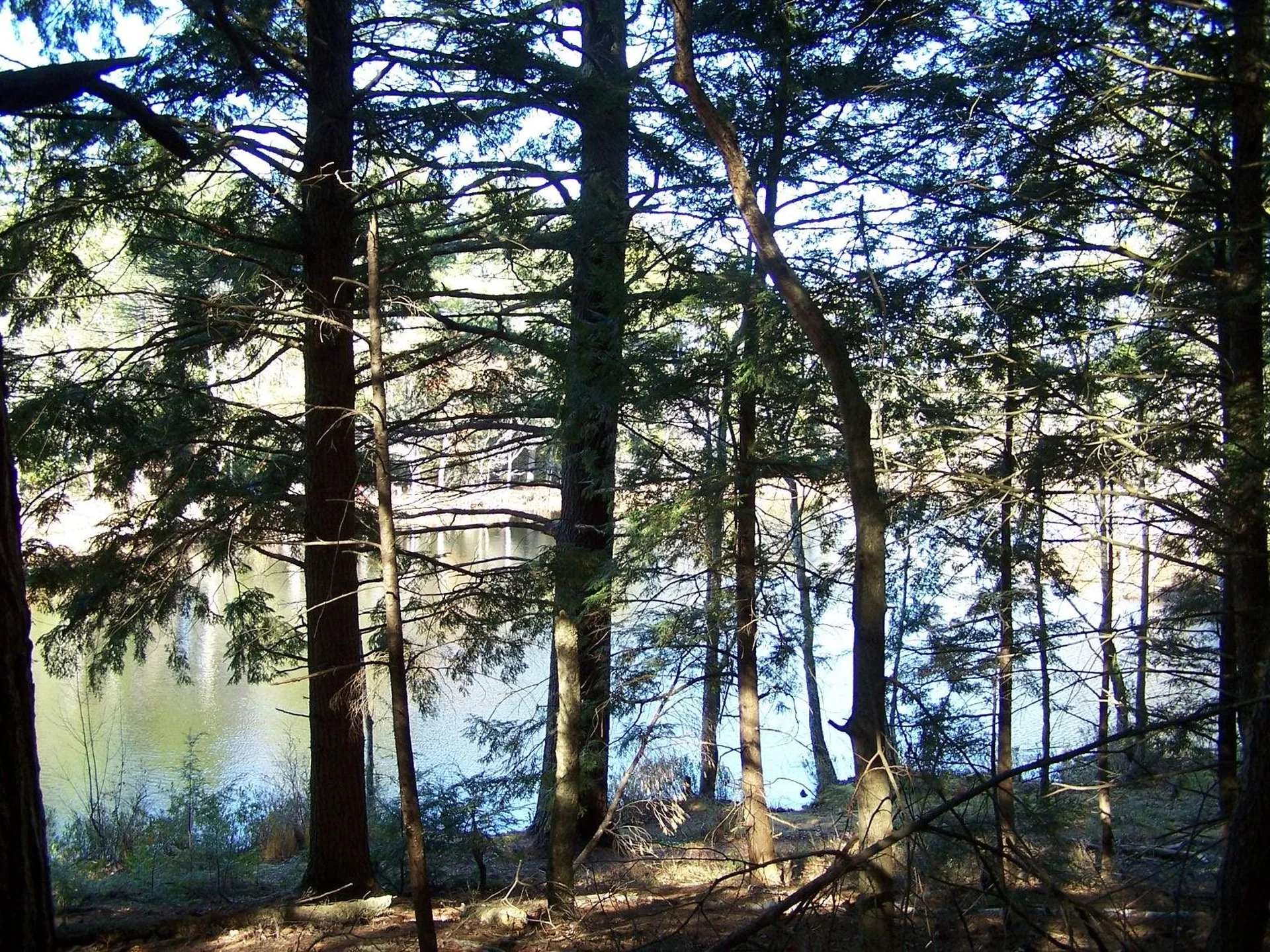 00 Scott Pond Road Fitzwilliam NH 03447