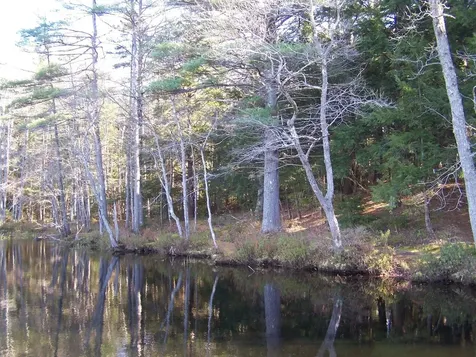 00 Scott Pond Road Fitzwilliam NH 03447