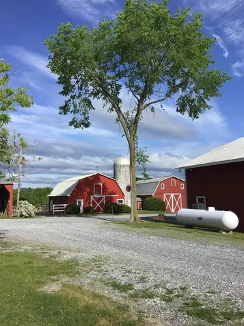 640 Orchard Drive Bridport VT 05734