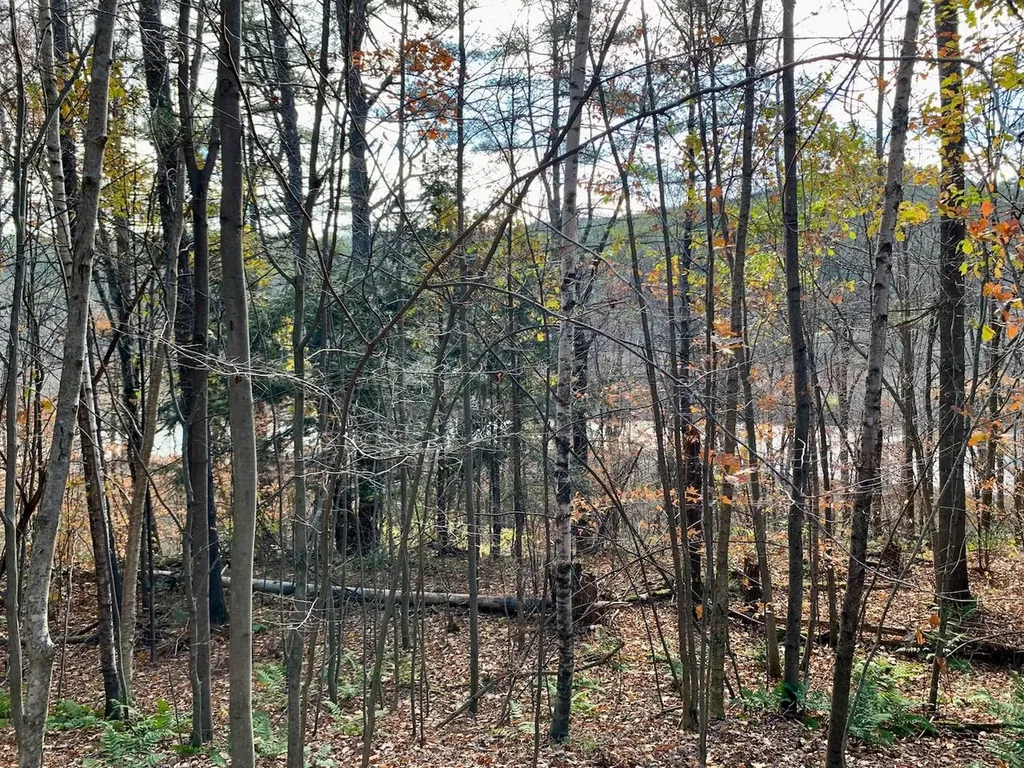 Lot 3 Peavine Boulevard Bethel VT 05032