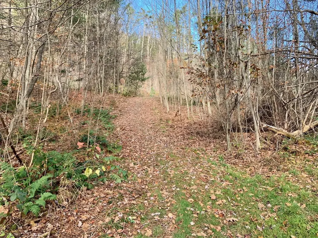 Lot 3 Peavine Boulevard Bethel VT 05032