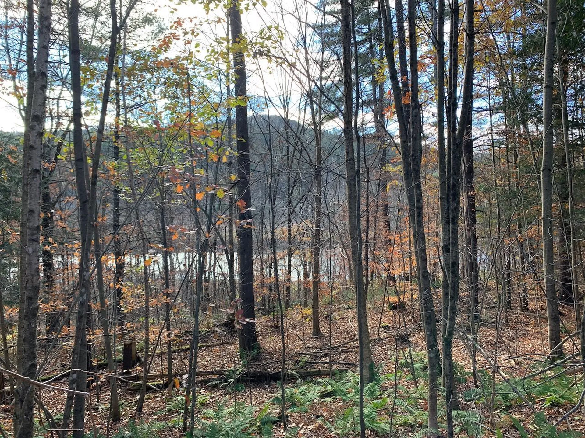 Lot 3 Peavine Boulevard Bethel VT 05032
