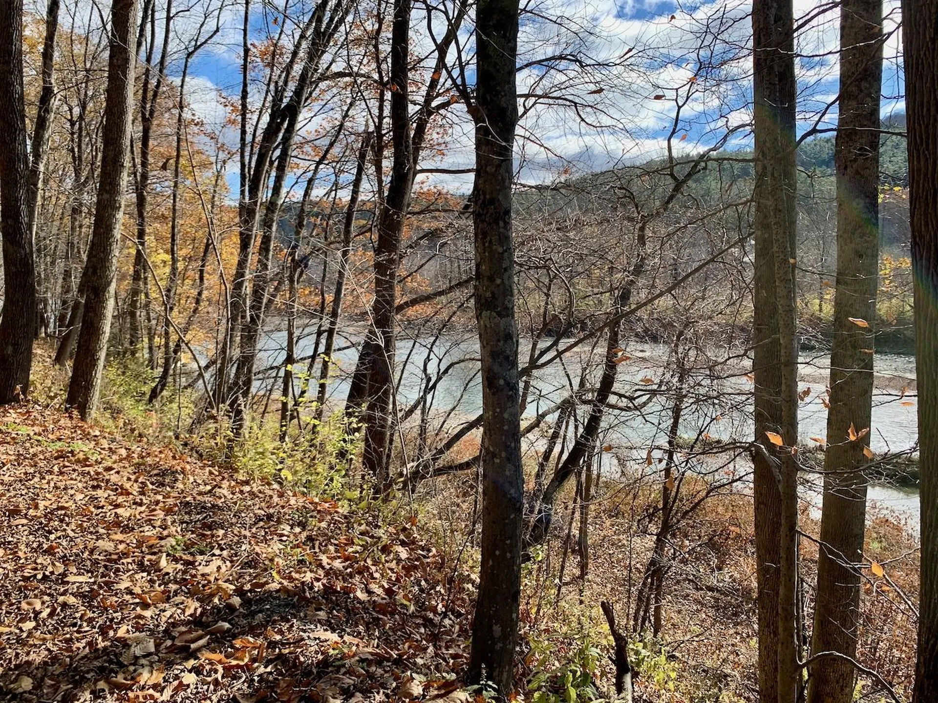 Lot 3 Peavine Boulevard Bethel VT 05032