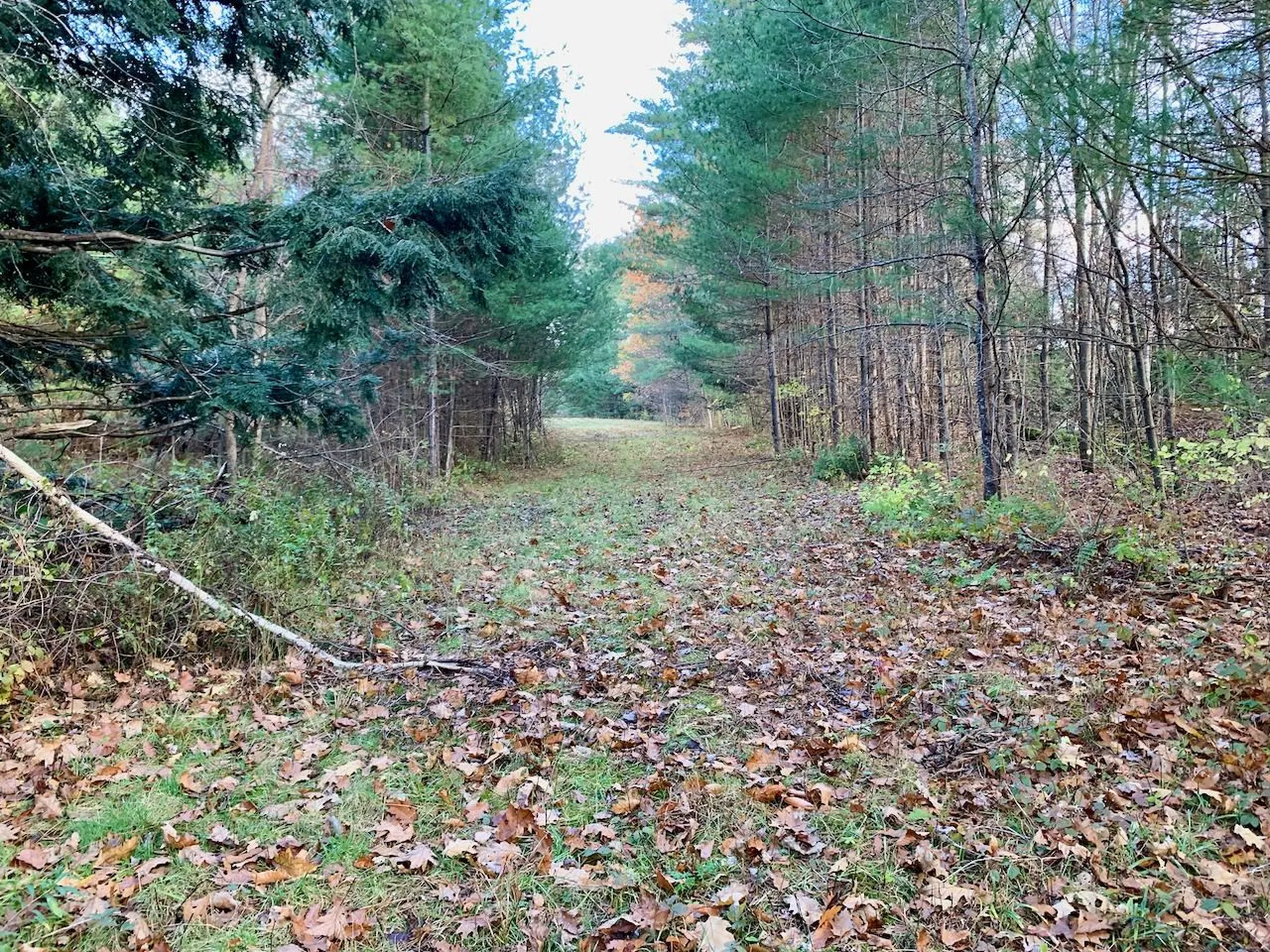 Lot 3 Peavine Boulevard Bethel VT 05032