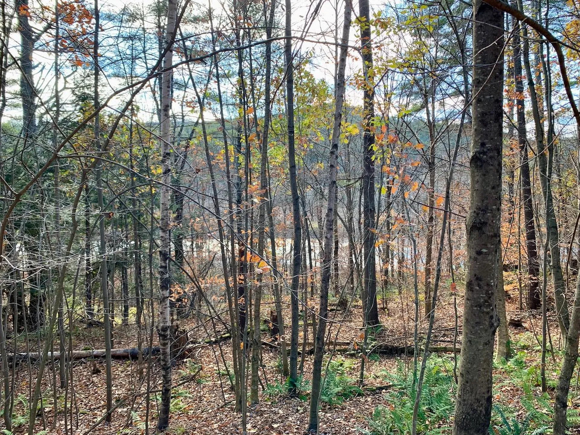 Lot 3 Peavine Boulevard Bethel VT 05032