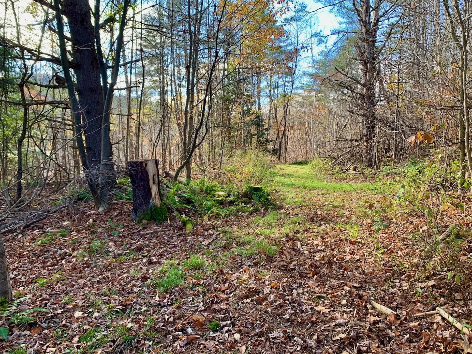 Lot 3 Peavine Boulevard Bethel VT 05032