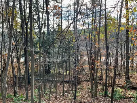 Lot 3 Peavine Boulevard Bethel VT 05032