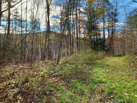 Lot 3 Peavine Boulevard Bethel VT 05032