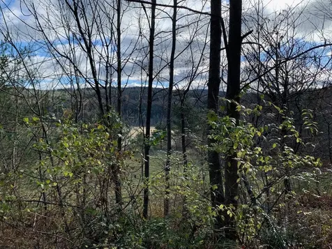 Lot 1 Peavine Boulevard Bethel VT 05032