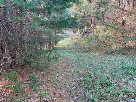 Lot 1 Peavine Boulevard Bethel VT 05032