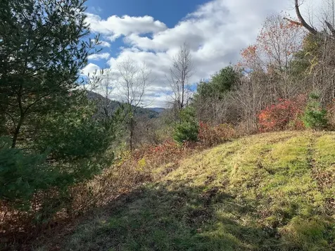 Lot 1 Peavine Boulevard Bethel VT 05032
