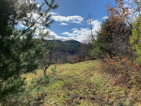 Lot 1 Peavine Boulevard Bethel VT 05032