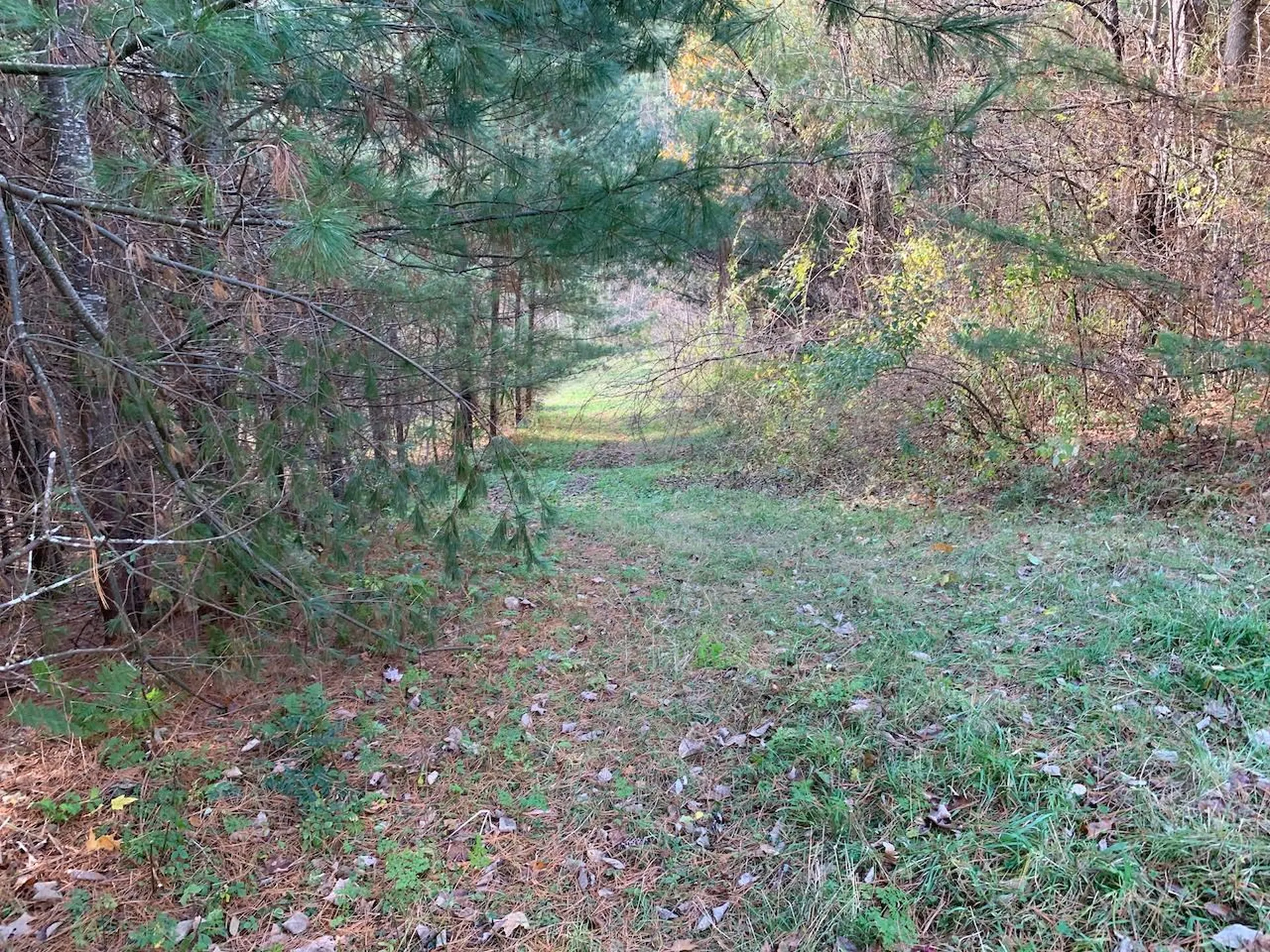 Lot 2 Peavine Boulevard Bethel VT 05032
