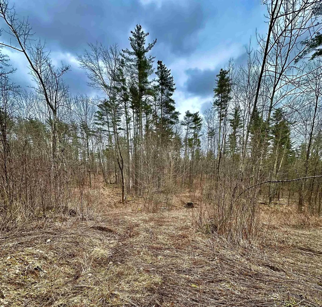 781 Ballard Farm Road Wells VT 05774