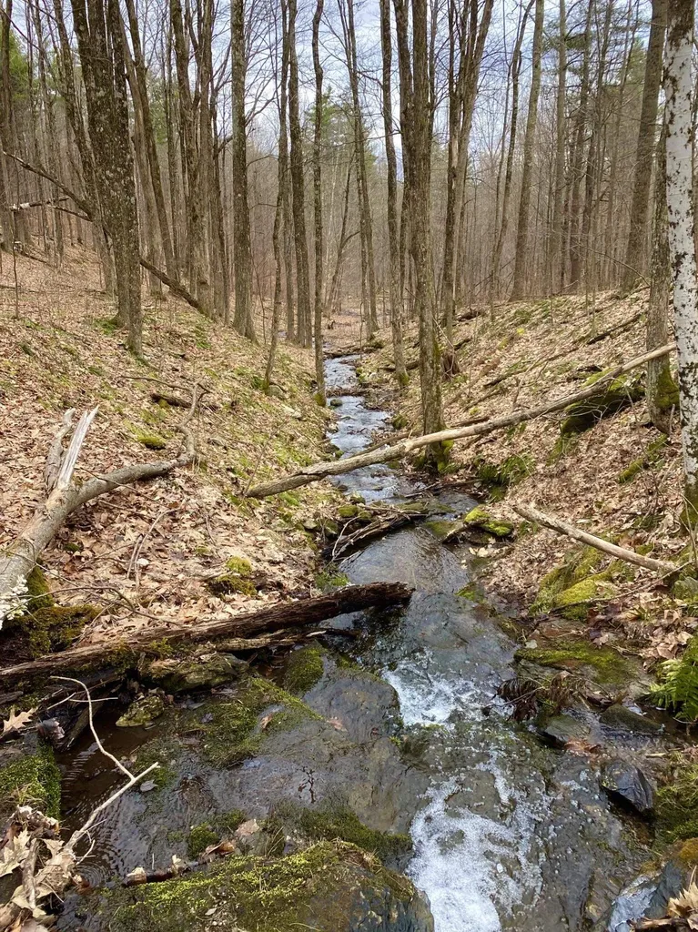 781 Ballard Farm Road Wells VT 05774