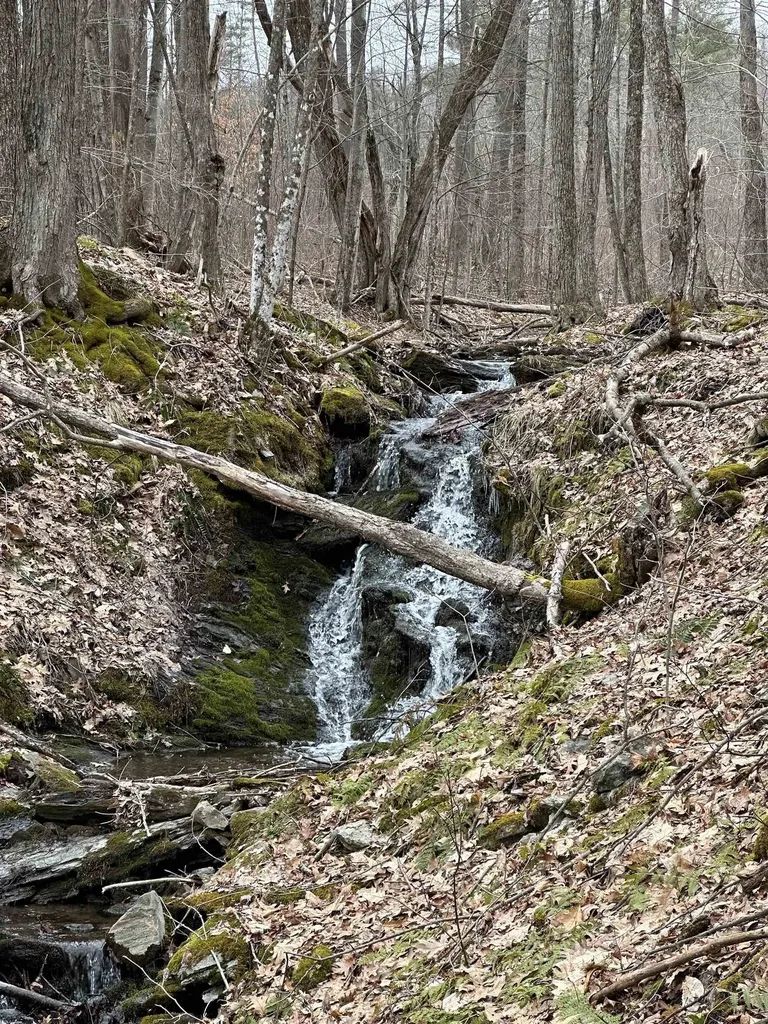 781 Ballard Farm Road Wells VT 05774