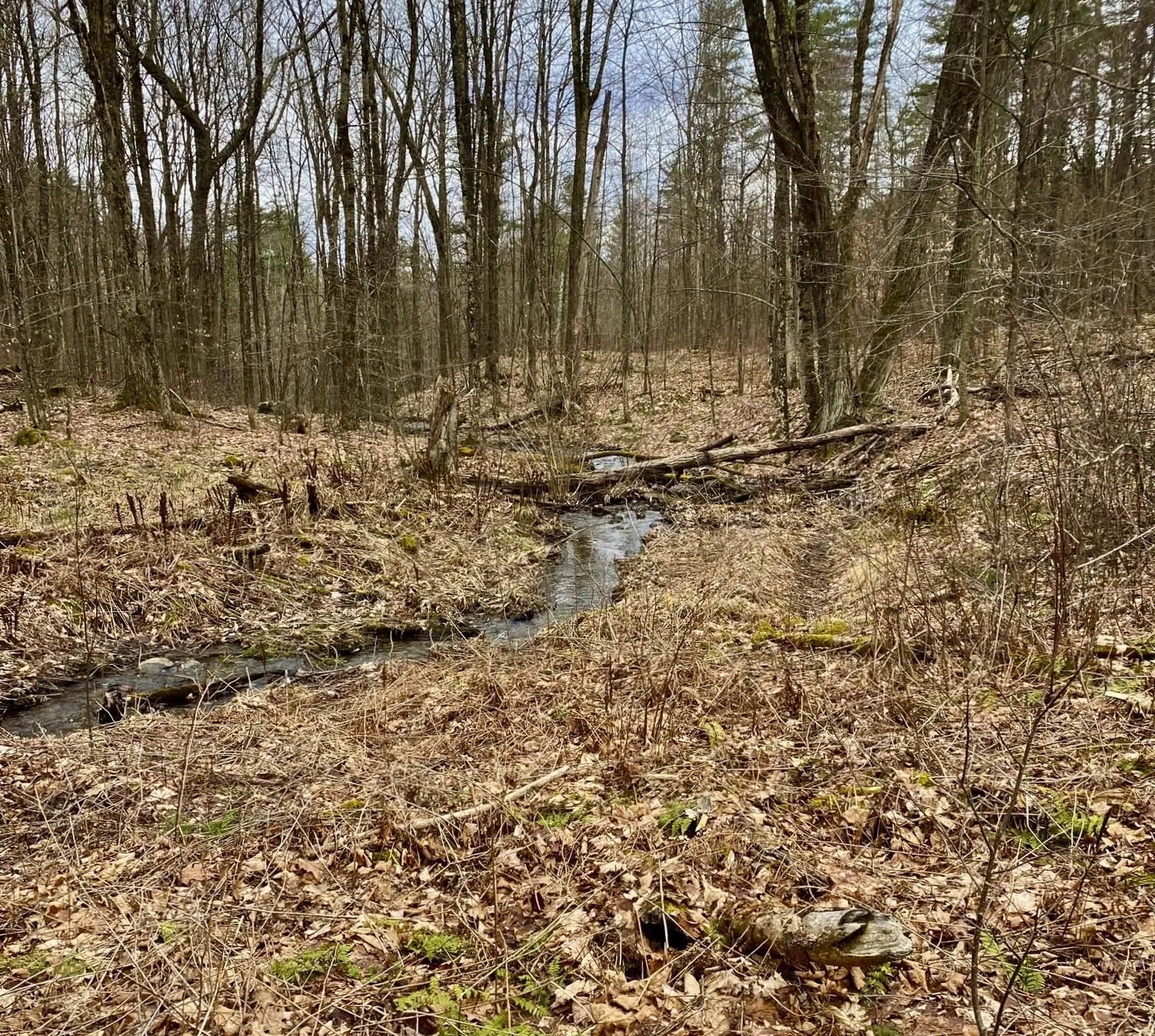 781 Ballard Farm Road Wells VT 05774