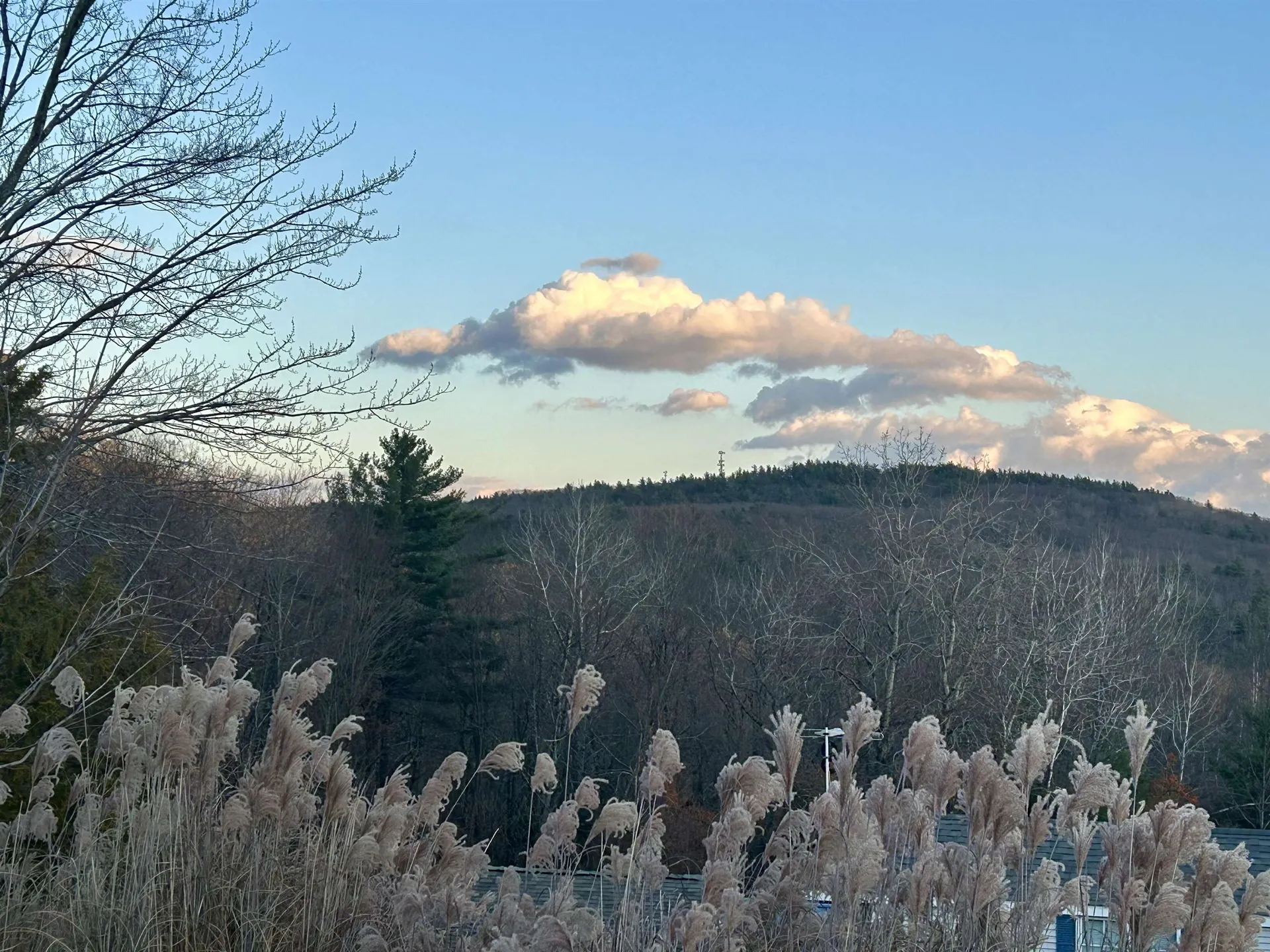 194 Buckley Street Weare NH 03281