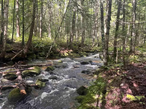 Lot 90.1 Kimball Road Lunenburg VT 05906