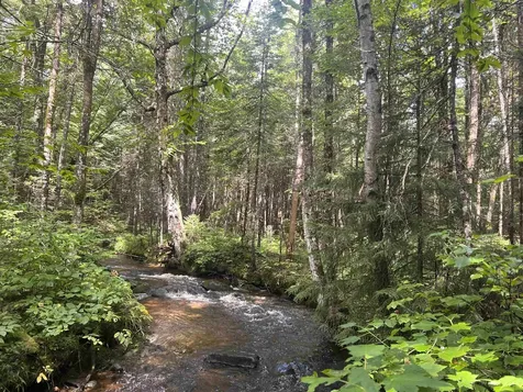 Lot 90.1 Kimball Road Lunenburg VT 05906