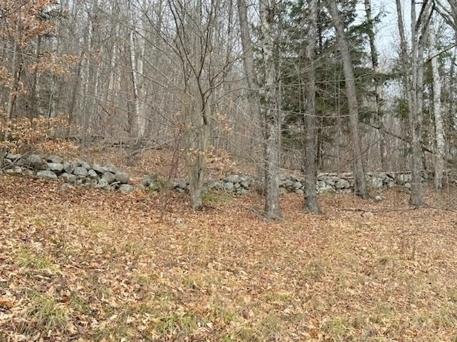 131 Lime Kiln Road Topsham VT 05076