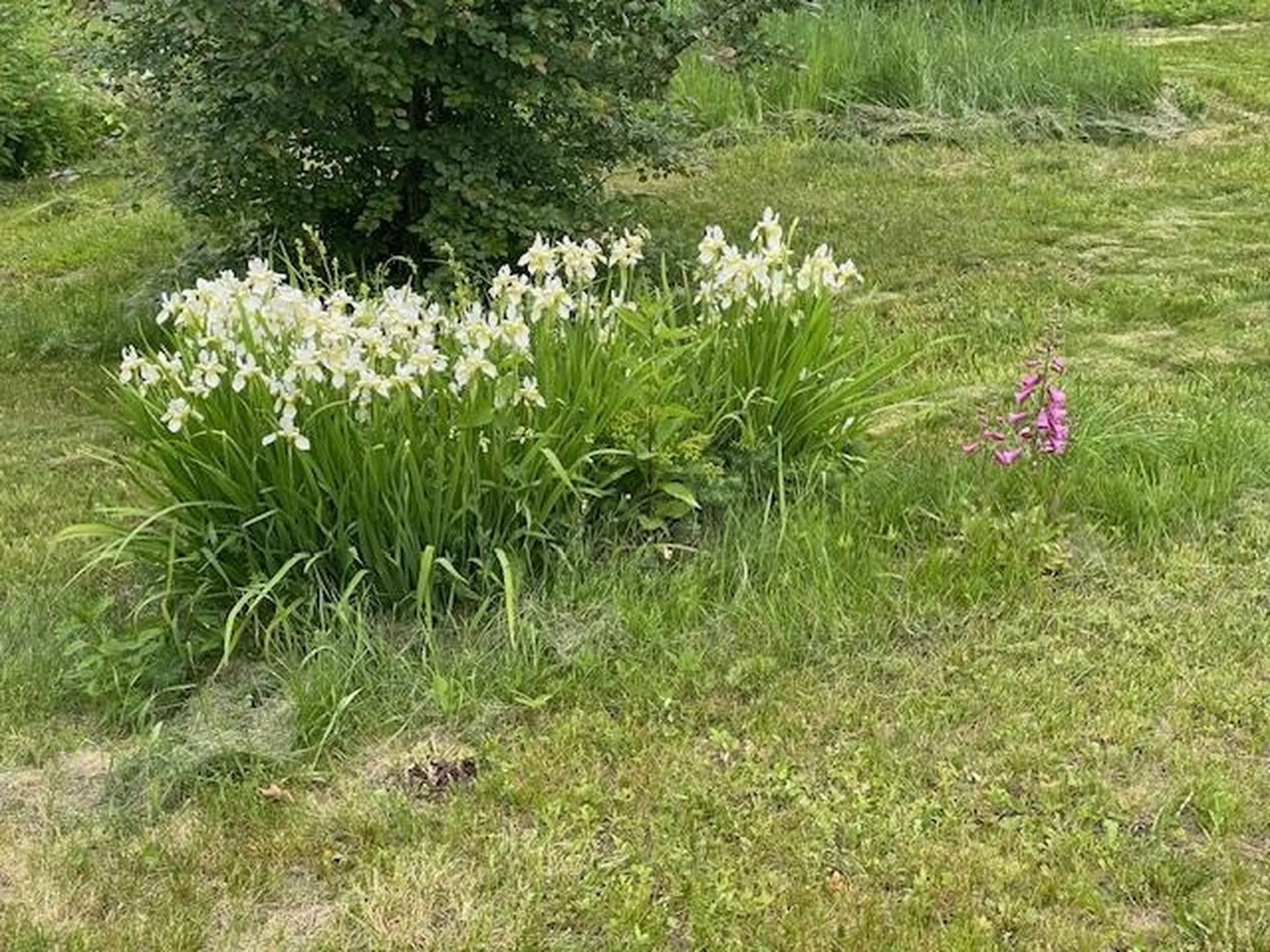 131 Lime Kiln Road Topsham VT 05076