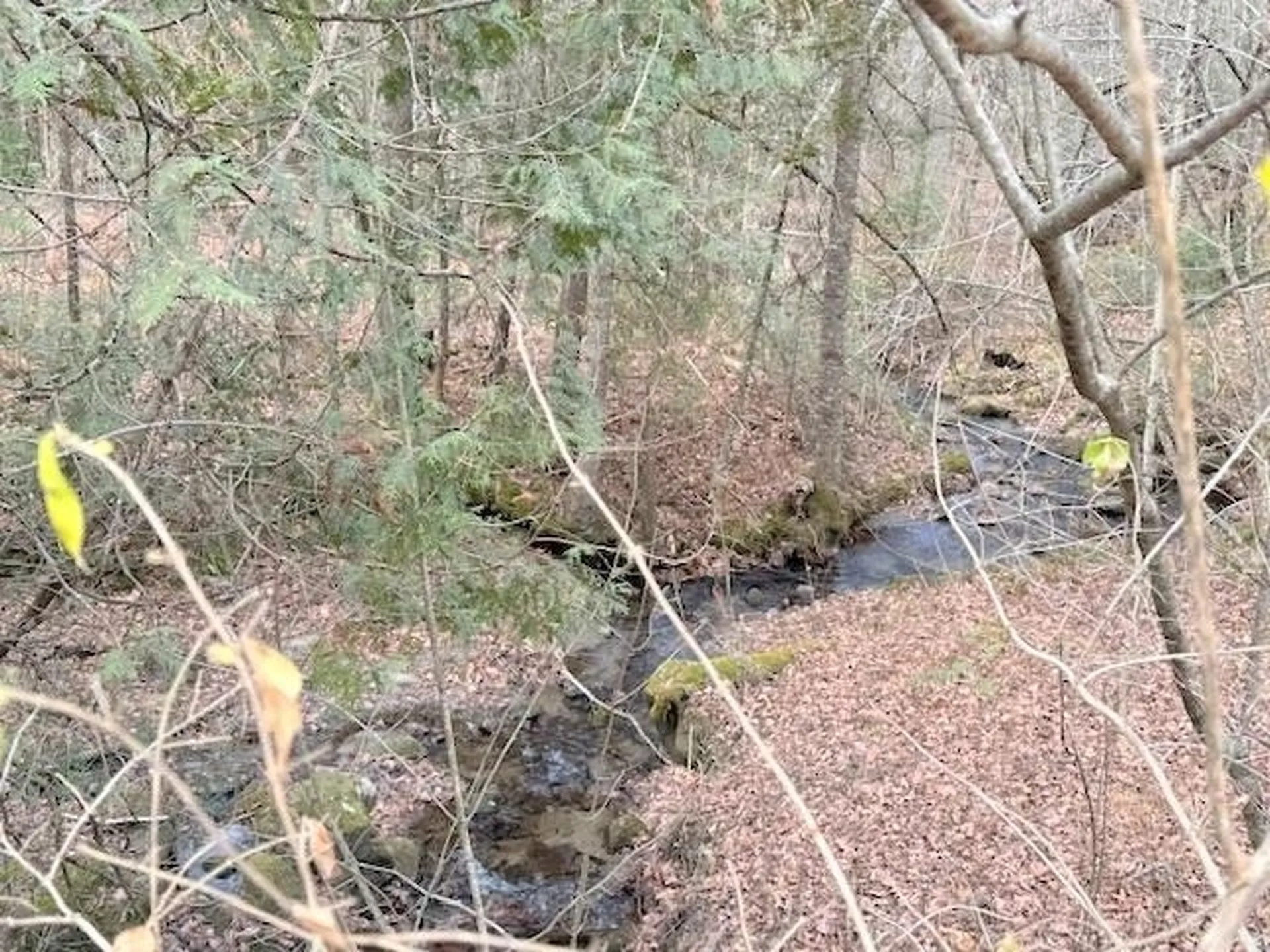 131 Lime Kiln Road Topsham VT 05076