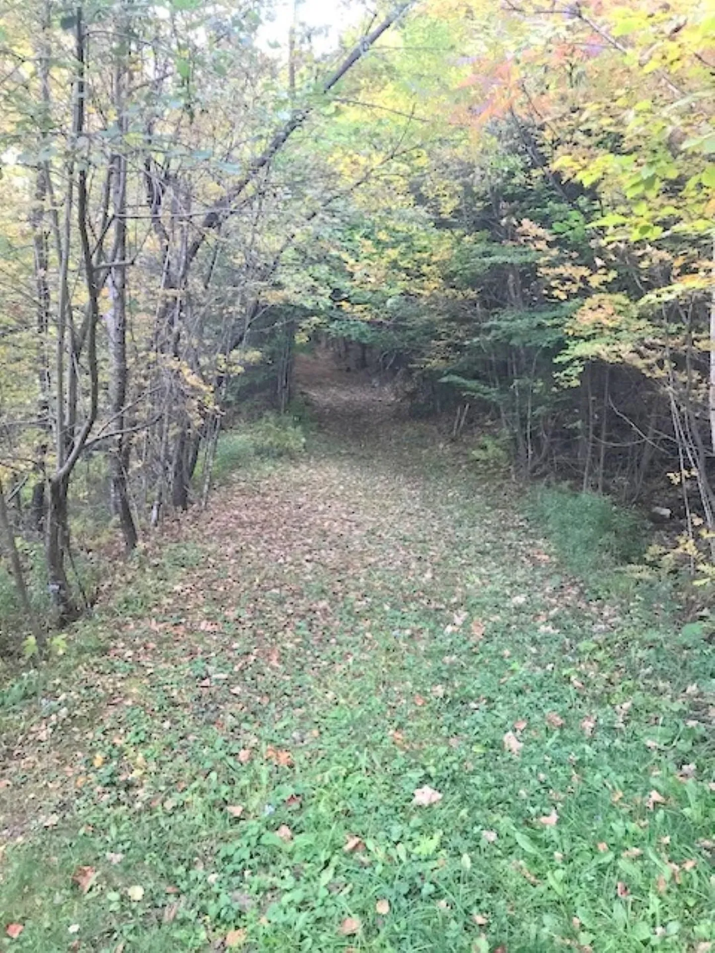 131 Lime Kiln Road Topsham VT 05076