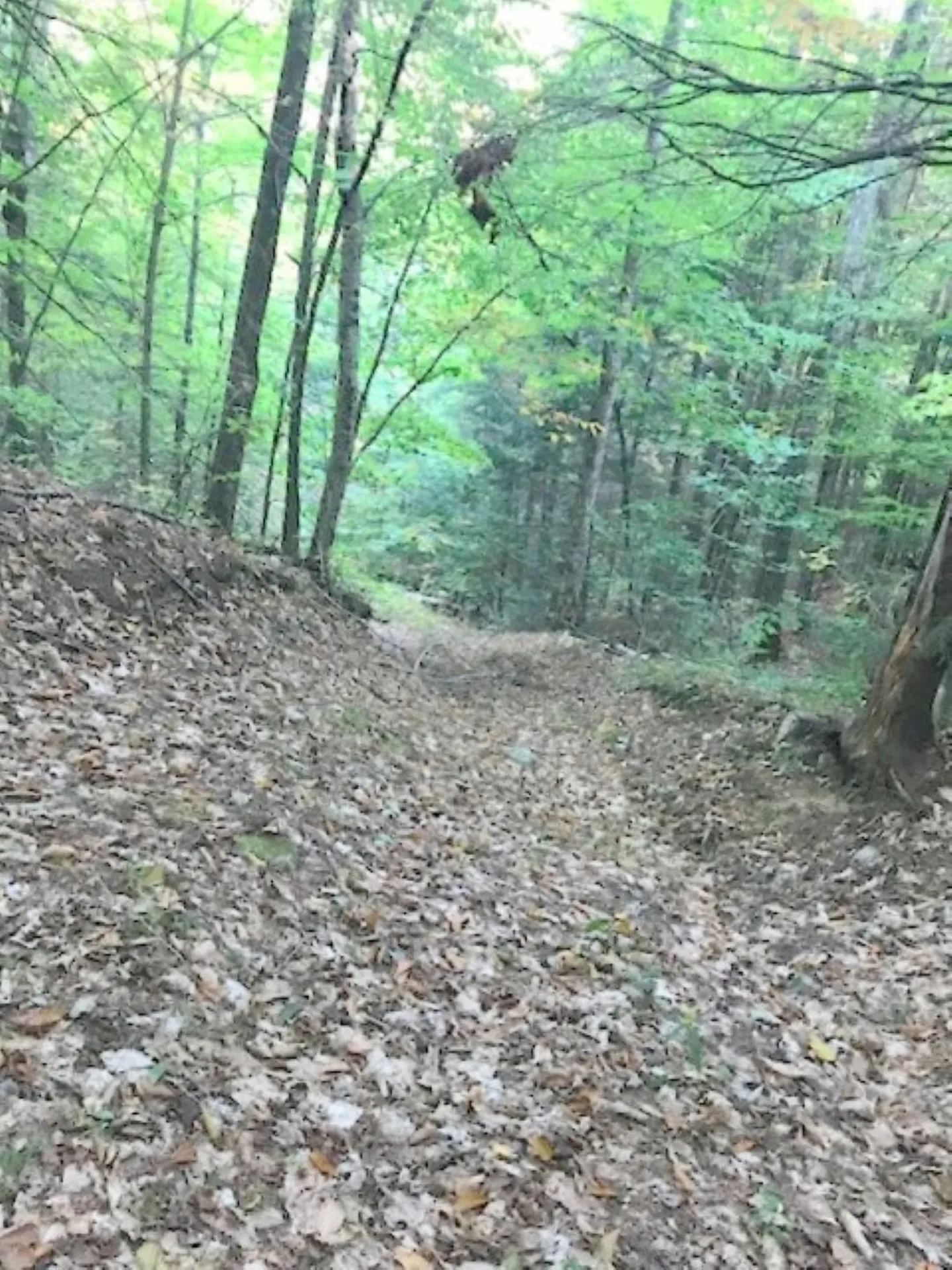 131 Lime Kiln Road Topsham VT 05076