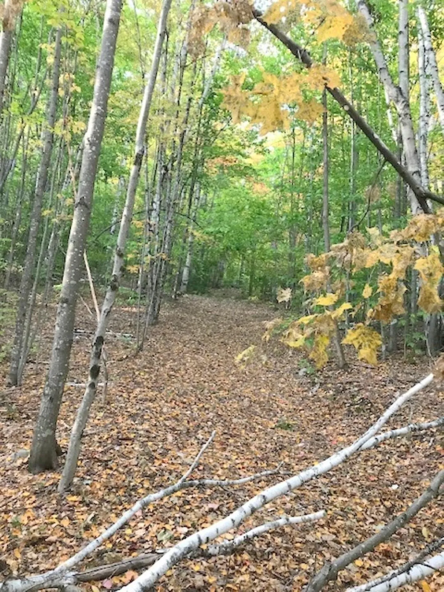 131 Lime Kiln Road Topsham VT 05076