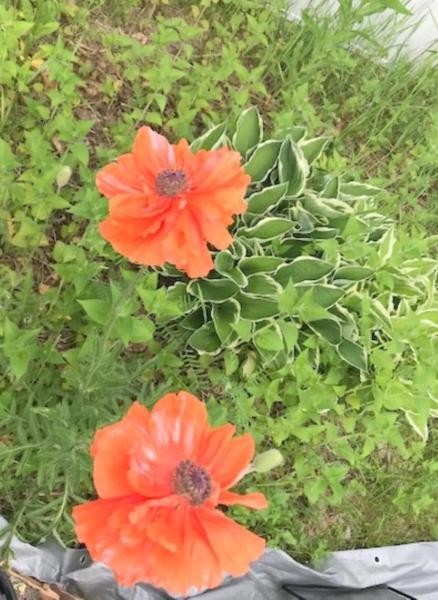 131 Lime Kiln Road Topsham VT 05076