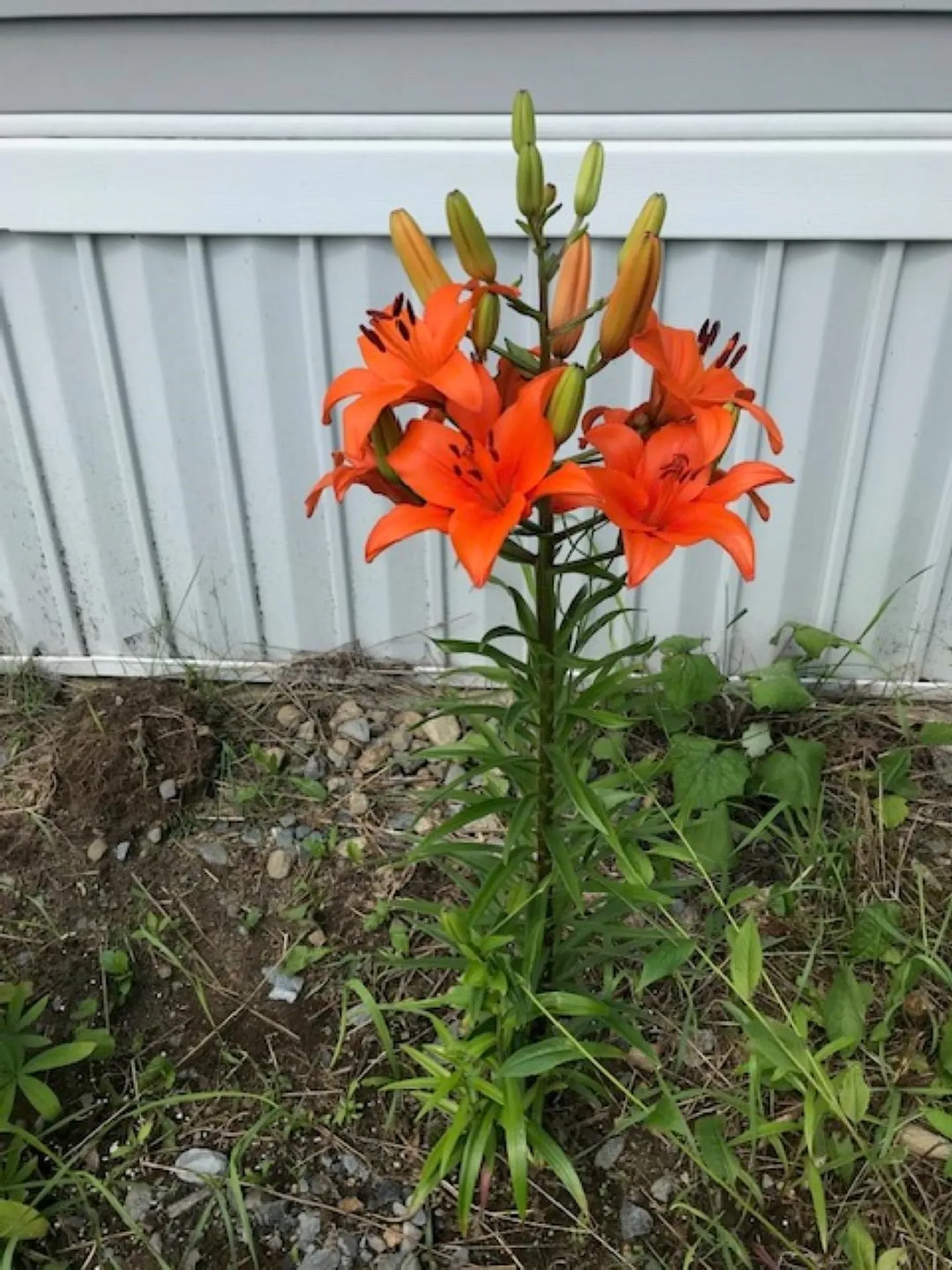 131 Lime Kiln Road Topsham VT 05076