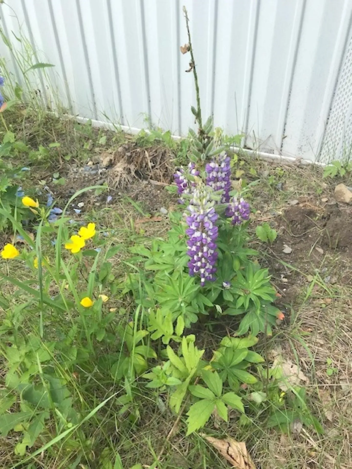 131 Lime Kiln Road Topsham VT 05076