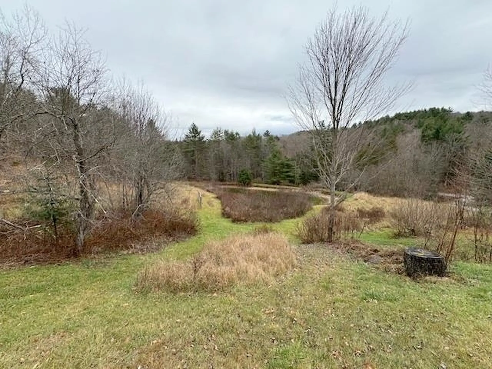 131 Lime Kiln Road Topsham VT 05076