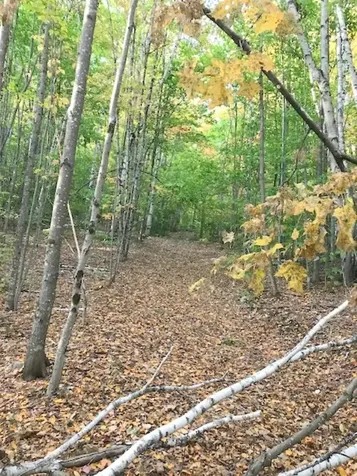 131 Lime Kiln Road Topsham VT 05076