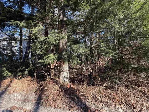 014-102 Deerpoint Drive Hillsborough NH 03244