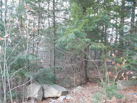 014-102 Deerpoint Drive Hillsborough NH 03244