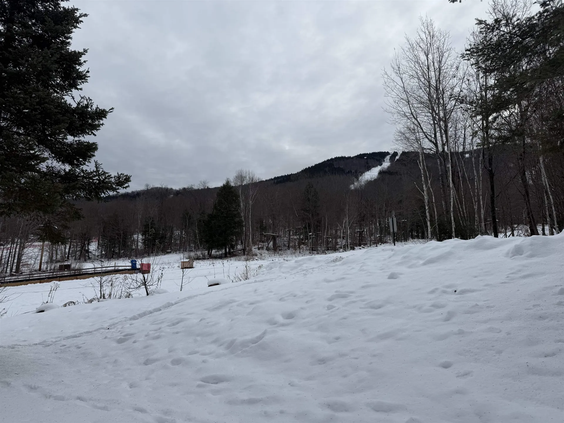 113 Magic Mountain Access Road Londonderry VT 05148