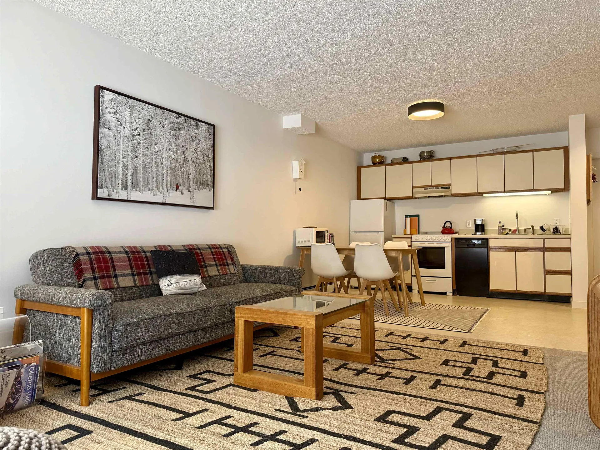 113 Magic Mountain Access Road Londonderry VT 05148