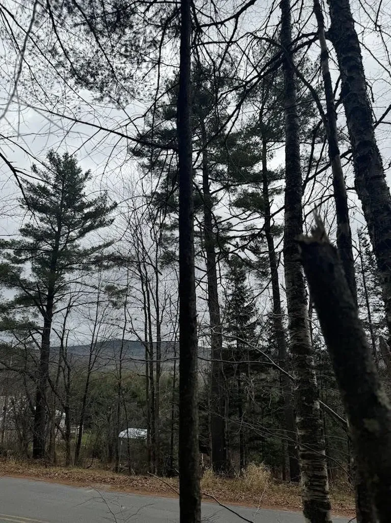 00 Bradley Hill Road Benton NH 03785