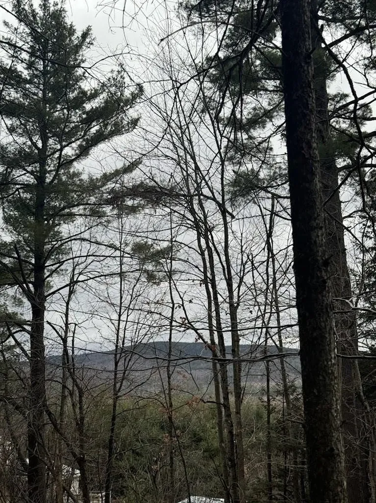 00 Bradley Hill Road Benton NH 03785