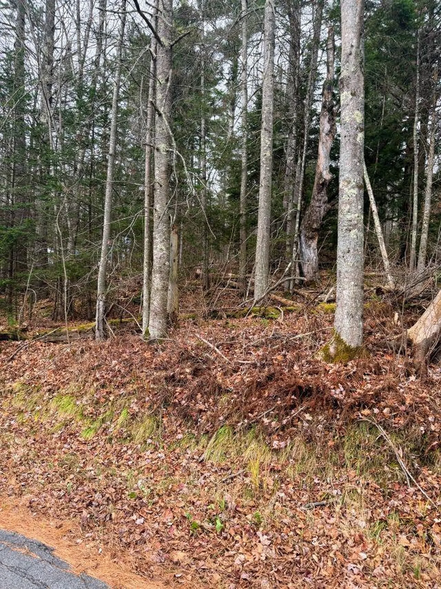 00 Bradley Hill Road Benton NH 03785