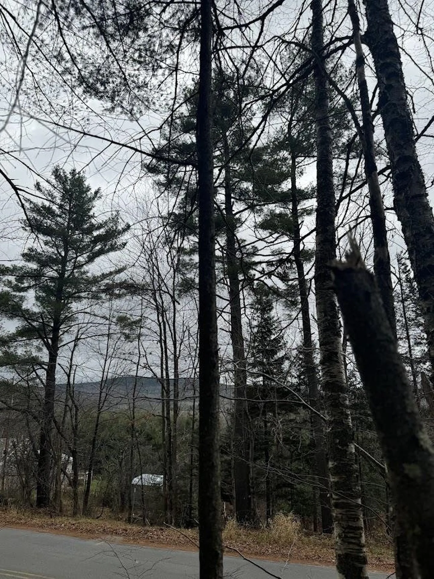 00 Bradley Hill Road Benton NH 03785