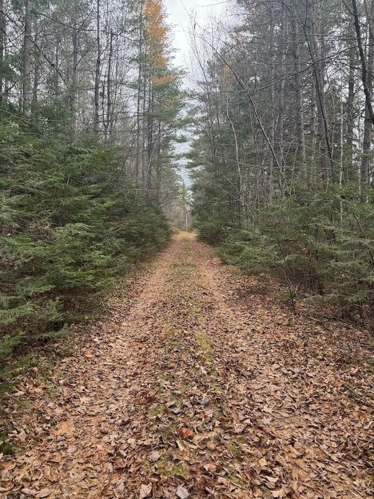 00 Bradley Hill Road Benton NH 03785