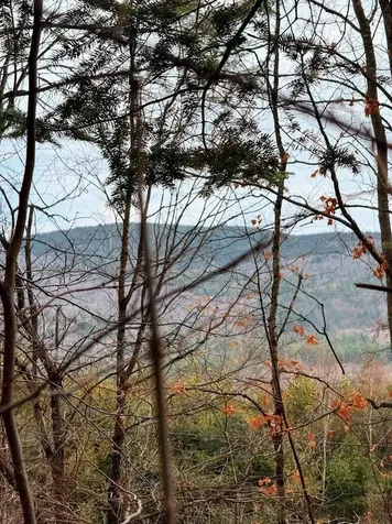 00 Bradley Hill Road Benton NH 03785